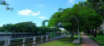 【鳳山區公園二街案】動土囉!